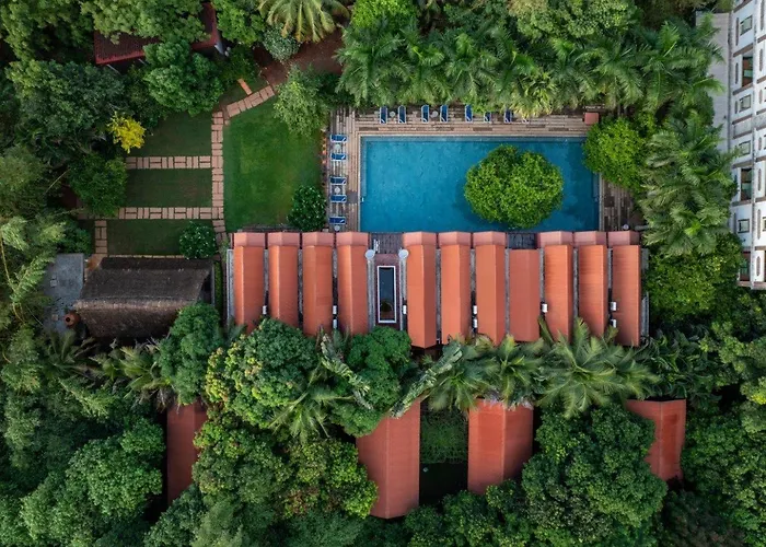 Mango Hill Auroville Pondicherry